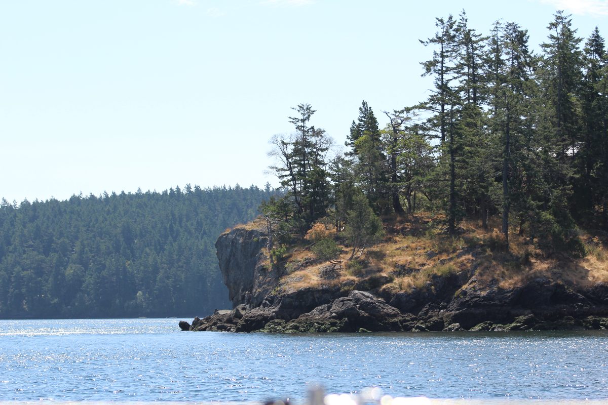 Wasp Islands & Rosario Resort